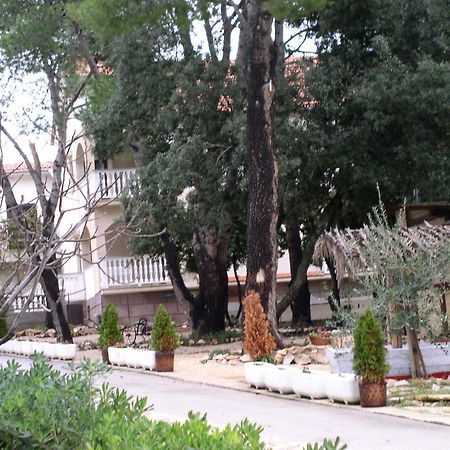 Apartments Stanko Petrčane Extérieur photo