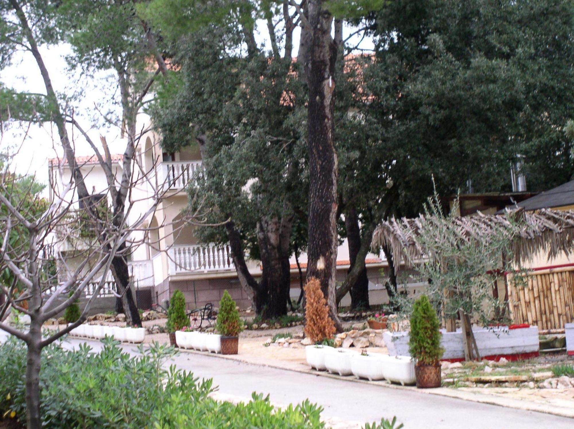 Apartments Stanko Petrčane Extérieur photo